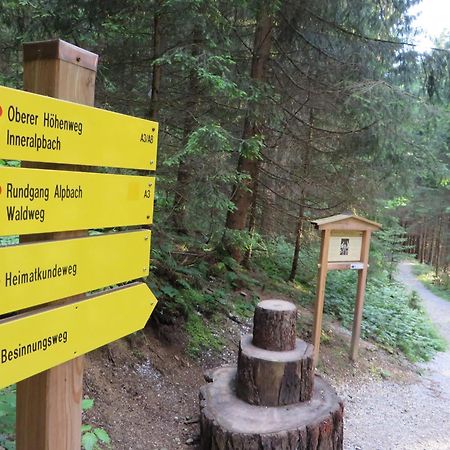 Pension Muehlbachhof Alpbach Εξωτερικό φωτογραφία