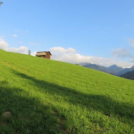 Pension Muehlbachhof Alpbach Εξωτερικό φωτογραφία