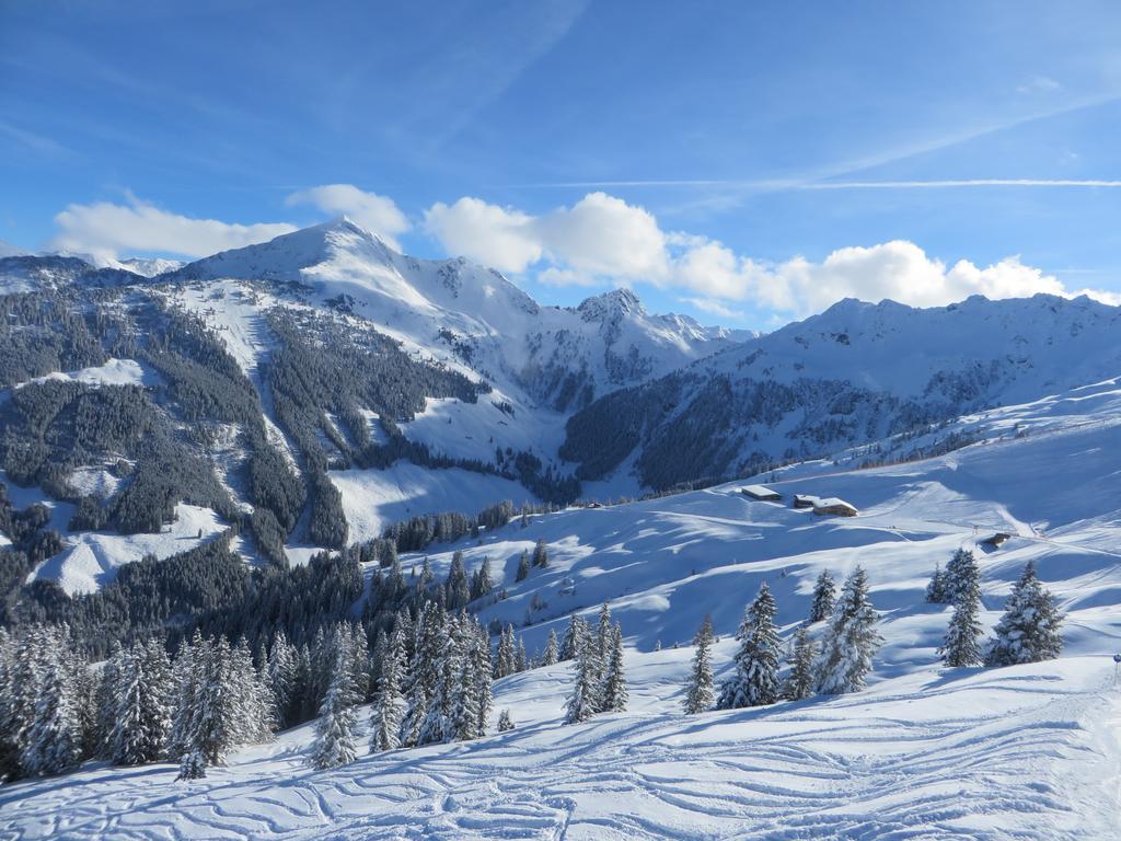 Pension Muehlbachhof Alpbach Εξωτερικό φωτογραφία