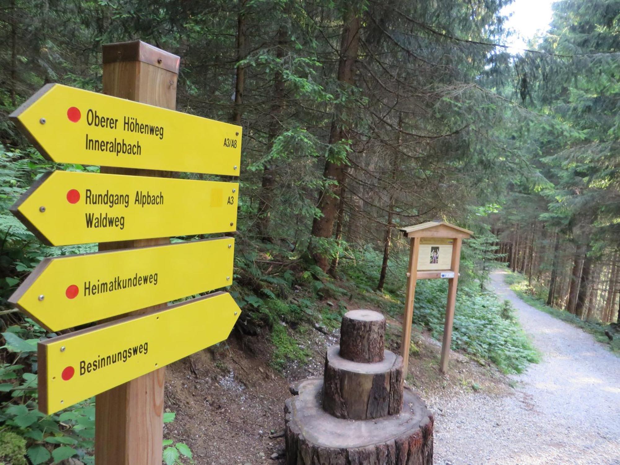 Pension Muehlbachhof Alpbach Εξωτερικό φωτογραφία