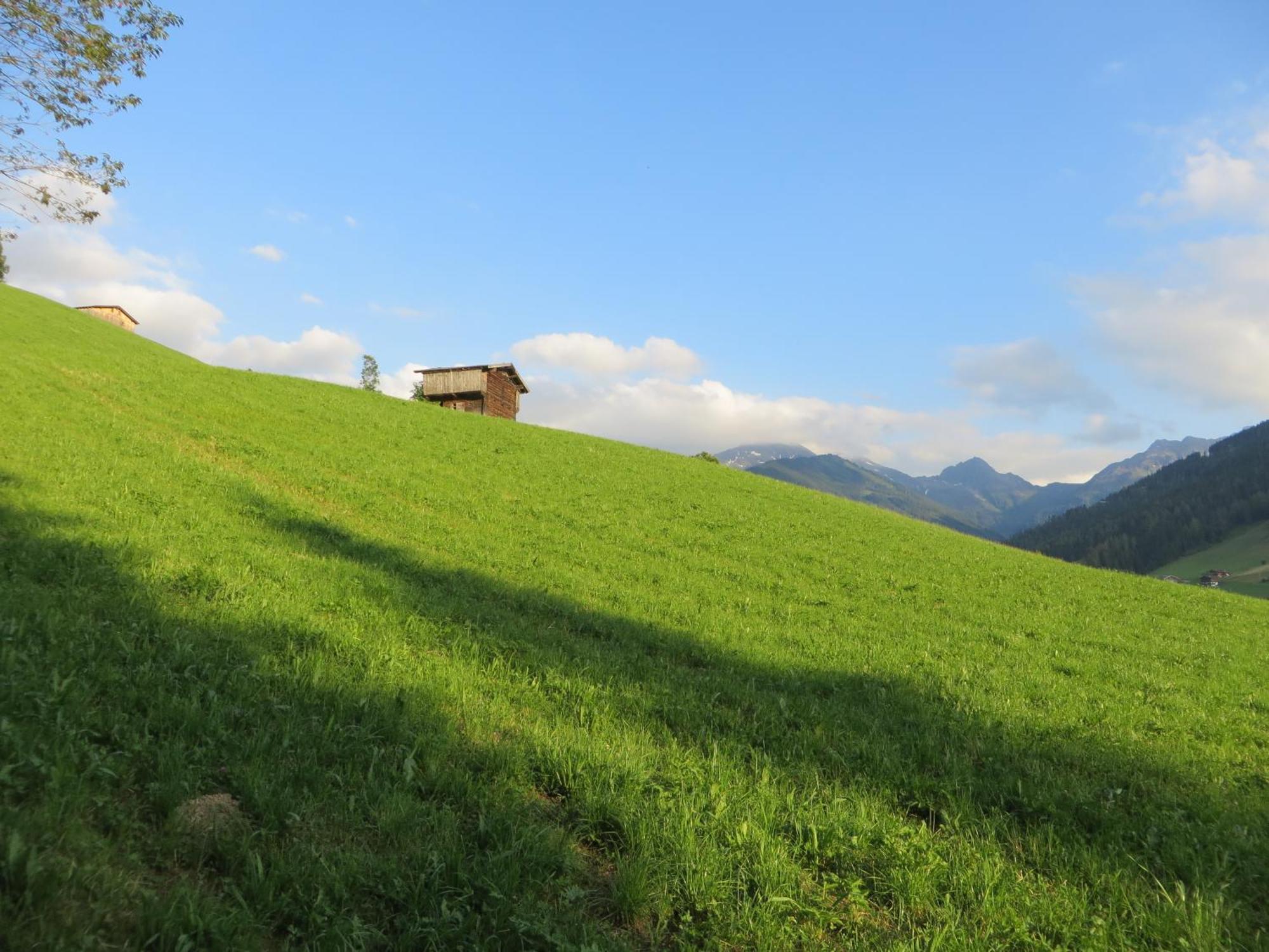 Pension Muehlbachhof Alpbach Εξωτερικό φωτογραφία